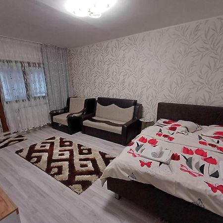 Garsoniera George Apartman Aknavásár Kültér fotó