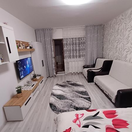 Garsoniera George Apartman Aknavásár Kültér fotó