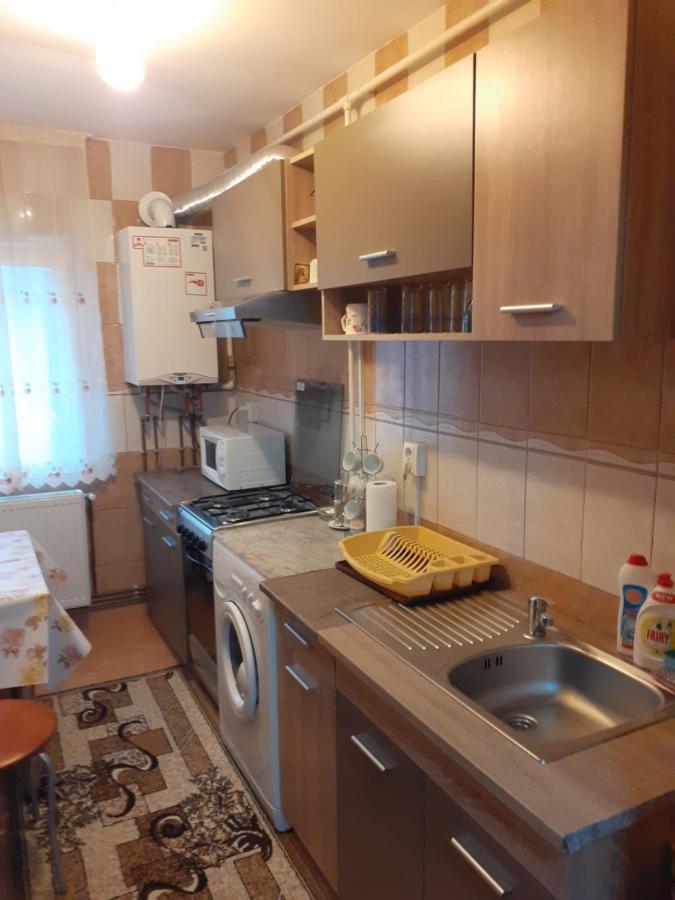 Garsoniera George Apartman Aknavásár Kültér fotó